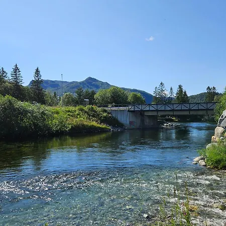 Huisdiervriendelijk In Appartement Hemsedal