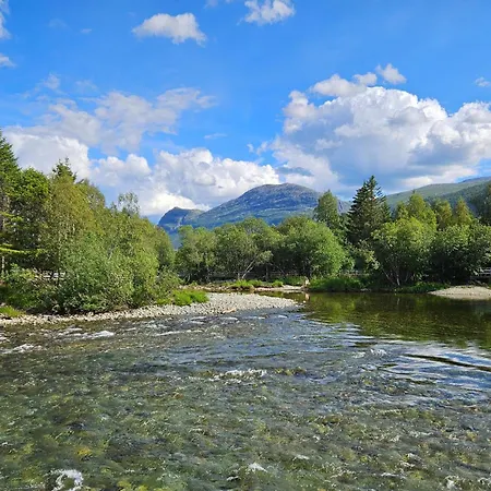 Pet Friendly In Appartement