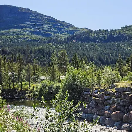 Appartement Pet Friendly In *