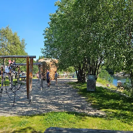 Appartement Pet Friendly In *