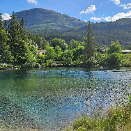 Appartement Huisdiervriendelijk In Hemsedal