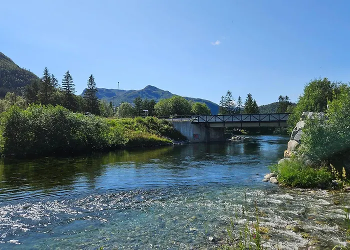 Pet Friendly In Daire Hemsedal