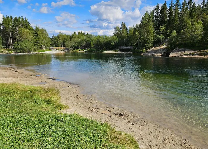 Pet Friendly In Daire Hemsedal