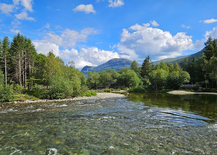 Pet Friendly In Daire