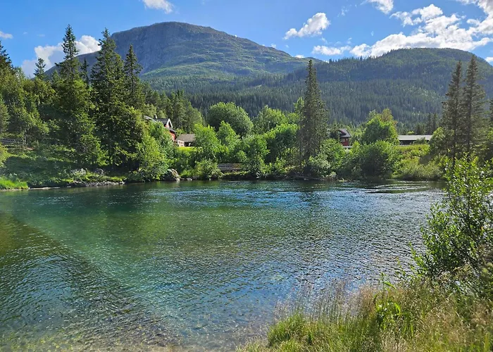 Daire Pet Friendly In Hemsedal